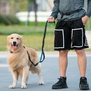 Reflective Blue and Black Dog Leash - Hands-Free Walking Lead